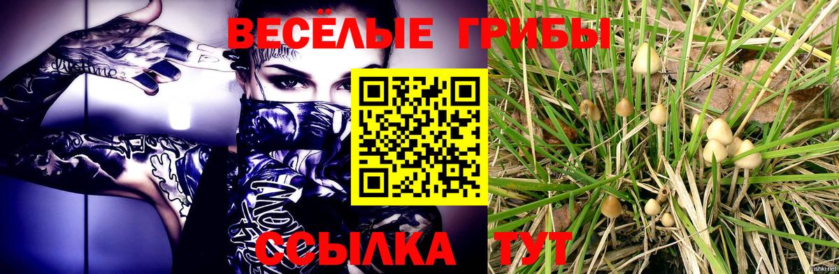 Воркута  Галлюциногенные грибы Psilocybe  Вход с VPN 