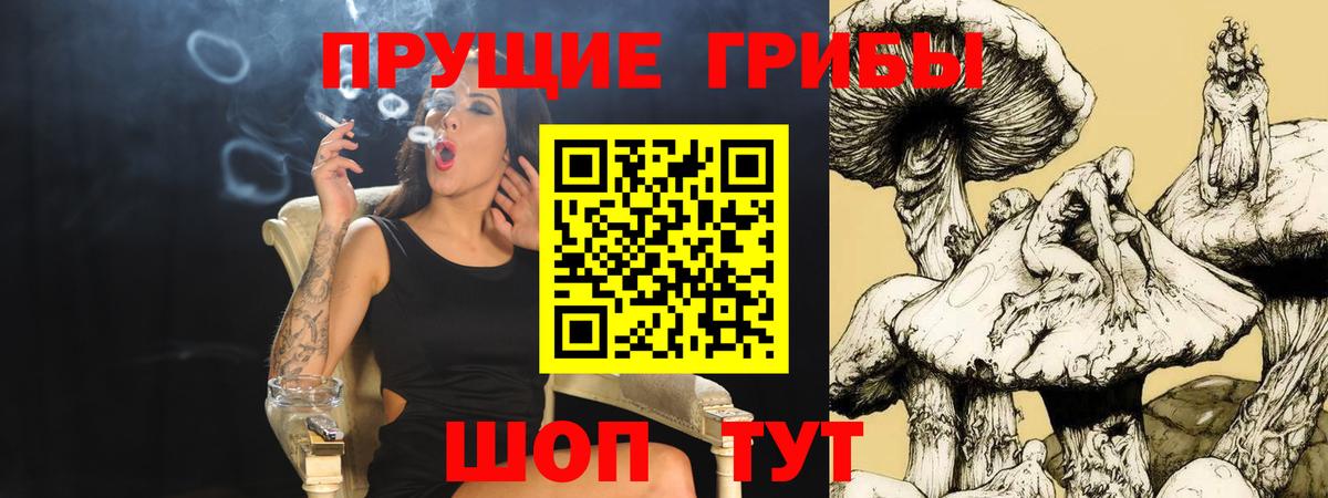 Галлюциногенные грибы прущие грибы Воркута